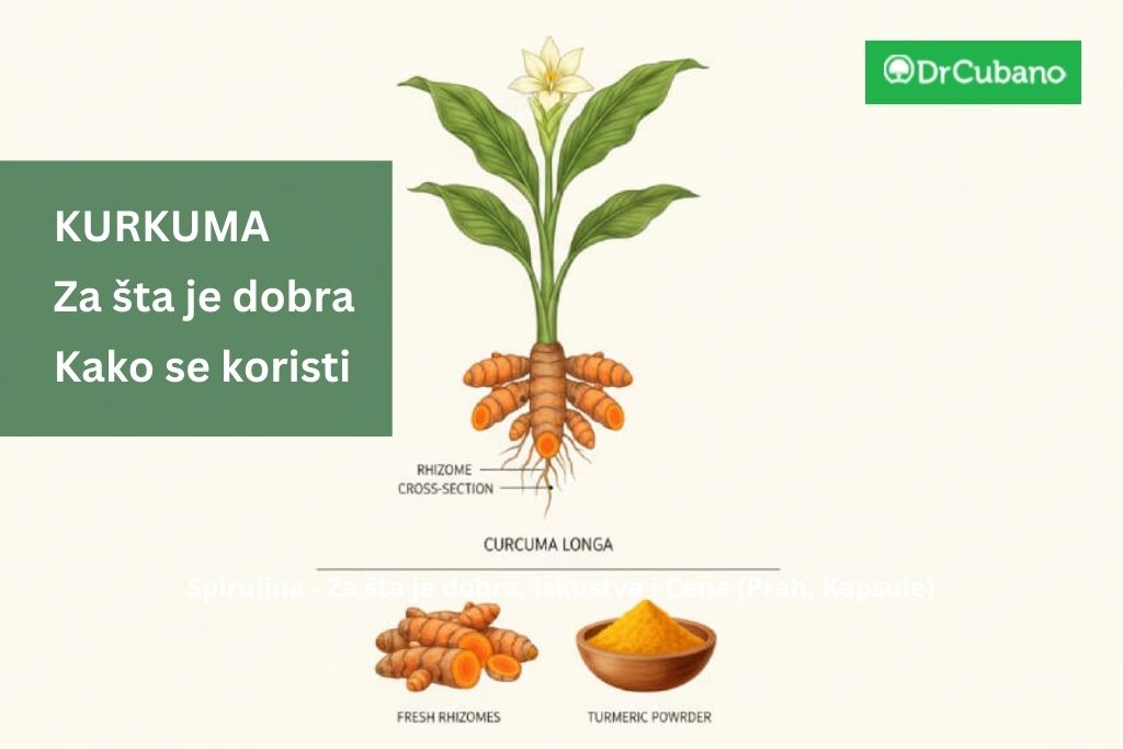 Kurkuma: Za šta je dobra, kako se koristi, cena i opasnosti