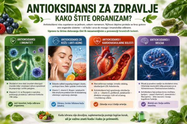 Kako antioksidansi štite organizam kroz imunitet, kožu, srce i mozak