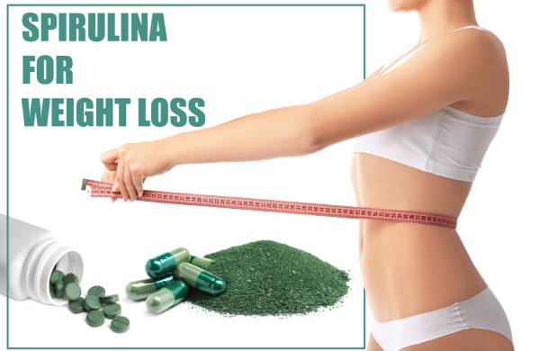 Spirulina i mršavljenje Upotreba spiruline za mršavljenje
