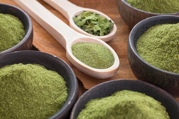 Definicija moringa praha Šta je prah moringa oleifera