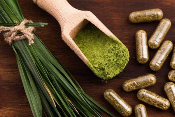 Šta je spirulina Alga spirulina